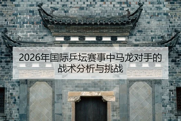 nian-guo-ji-ping-tan-sai-shi-zhong-ma-long-dui-shou-de-zhan-shu-fen-xi-yu-tiao-zhan-2-623.jpg