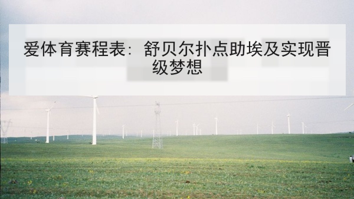 爱体育赛程表: 舒贝尔扑点助埃及实现晋级梦想